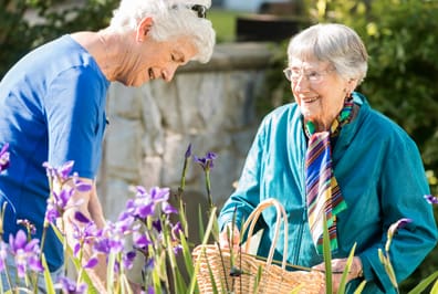 What are the 8 Dimensions of Wellness?