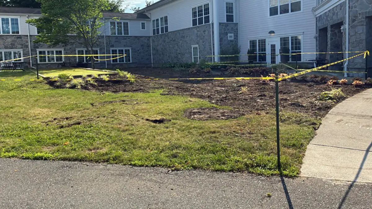 Future-Commons-Addition