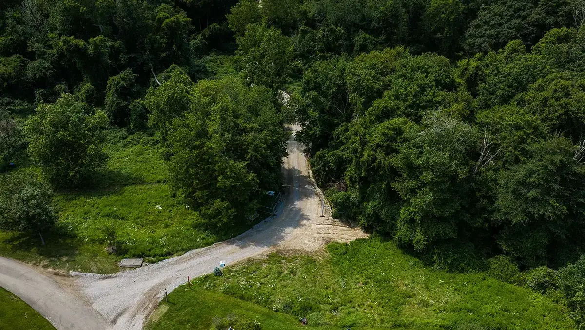 aerial-trees